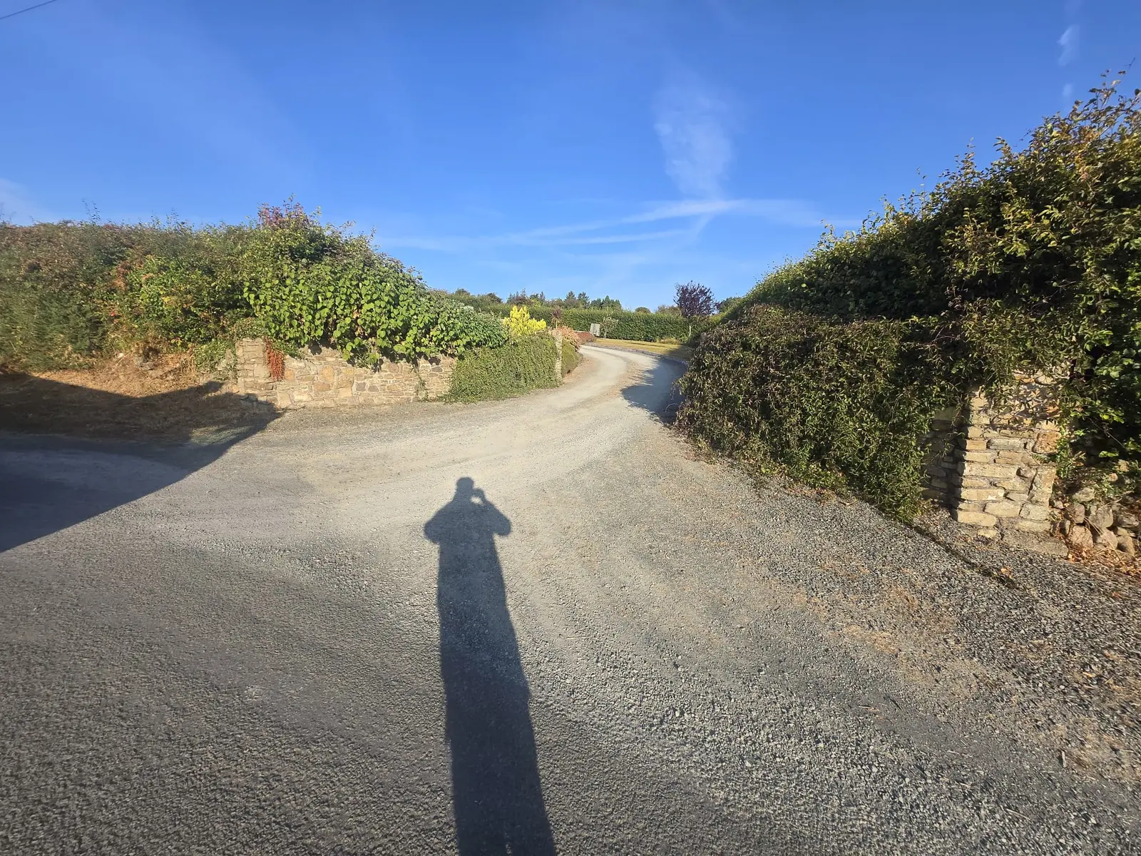 Large Tar & Chip Driveway project by Allsurface Groundworks in County Kildare
